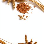 Wheat-Free Diet Quick Guide – Kindle eBook by Amazon-0